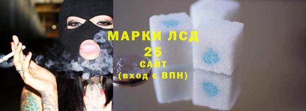ПСИЛОЦИБИНОВЫЕ ГРИБЫ Бородино