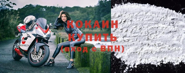 ПСИЛОЦИБИНОВЫЕ ГРИБЫ Бородино