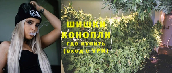 ПСИЛОЦИБИНОВЫЕ ГРИБЫ Бородино