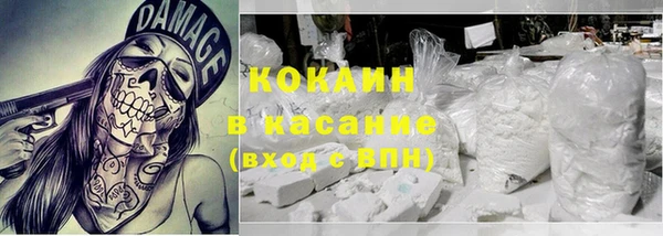 ПСИЛОЦИБИНОВЫЕ ГРИБЫ Бородино