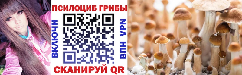 Псилоцибиновые грибы ЛСД Нарткала