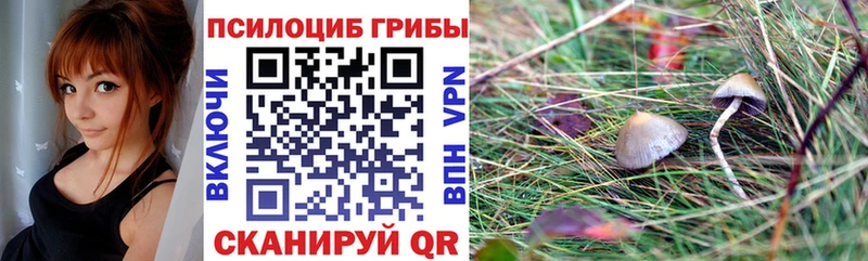 Галлюциногенные грибы Magic Shrooms  Нарткала 